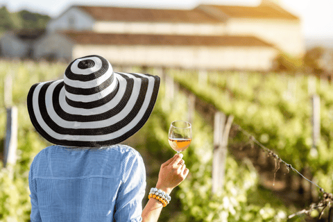 Visite privée de luxe : Sites antiques de Némée et dégustation de vin