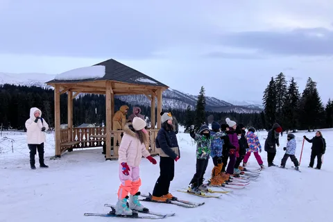 Bakuriani: Private or group Ski Lesson