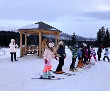 Bakuriani: Private or group Ski Lesson