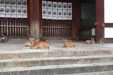 Nara: Halve dag UNESCO erfgoed & lokale cultuur wandeltourNara: UNESCO-erfgoed- en lokale cultuurwandeling van een halve dag
