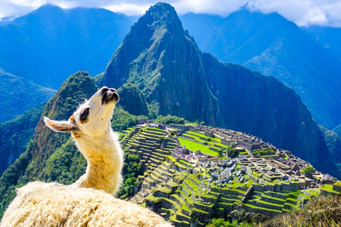 Cusco: 2-day Inca Trail to Machu Picchu