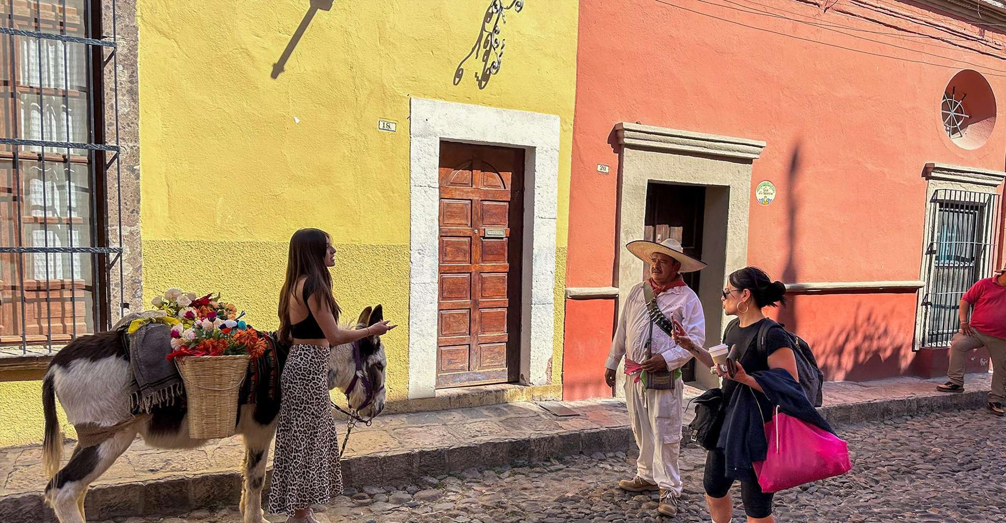 From Mexico City, San Miguel de Allende Day Trip - Housity