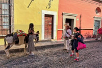 From Mexico City, San Miguel de Allende Day Trip - Housity