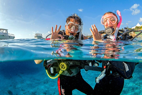 Catalina eiland en snorkeltour