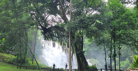 Doi Inthanon National Park : Private Car