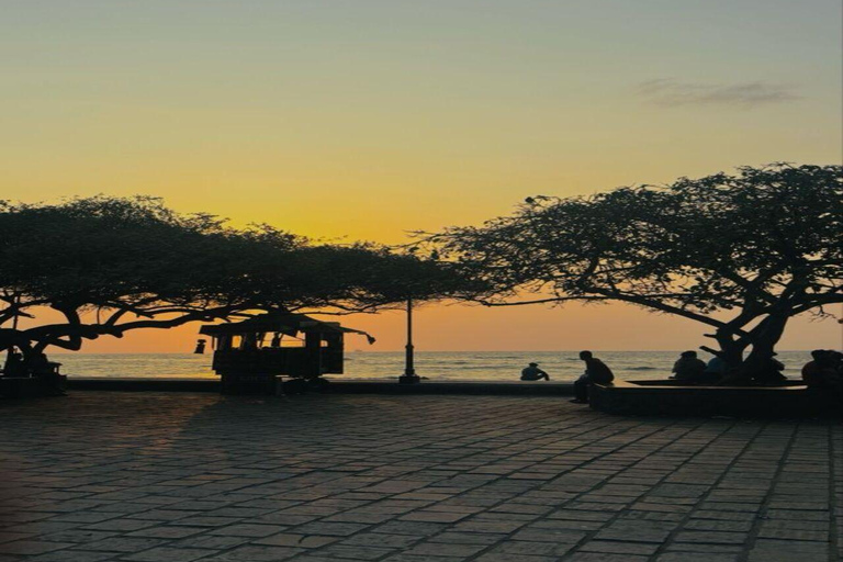 Kerala: Kochi, Munnar, Alleppey & Trivandrum Multi-Day Tour From Kochi: 7 Days Private Tour (All Inclusive)