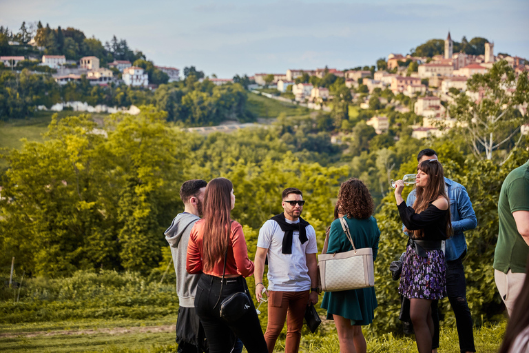 Monferrato: Wine Tasting and Guided Infernot Tour Monferrato: Wine Tasting and Guided Infernot Tour