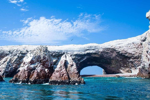 Visite des îles Ica, Huacachina et Ballestas - 1 journée