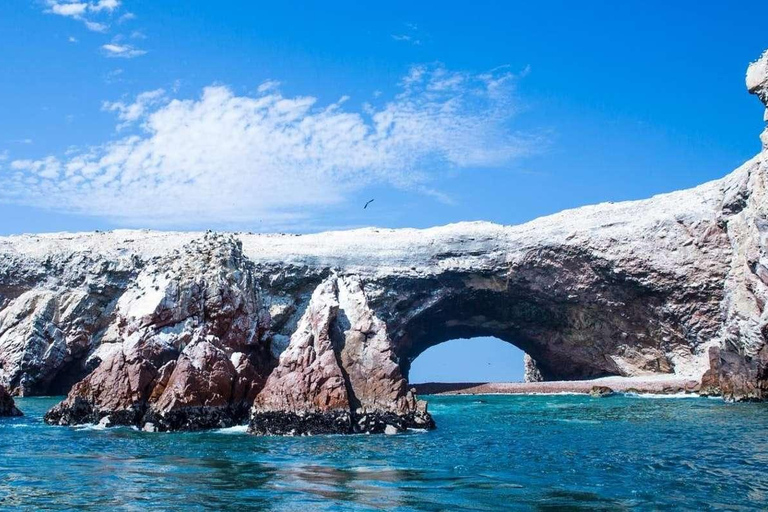 Visite des îles Ica, Huacachina et Ballestas - 1 journée