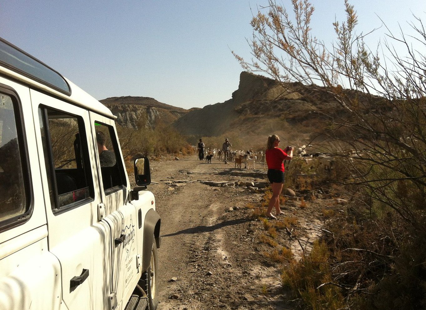 Fra Almeria: Tabernas-ørkenen 4WD-joyriding-tur