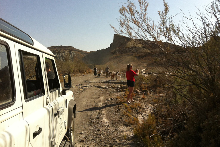 De Almeria: Passeio em veículo com tração nas quatro rodas pelo deserto de TabernasDeserto de Tabernas 4WD joyriding em inglês e espanhol