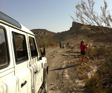 Z Almerii: Tabernas Desert 4WD joyriding Tour