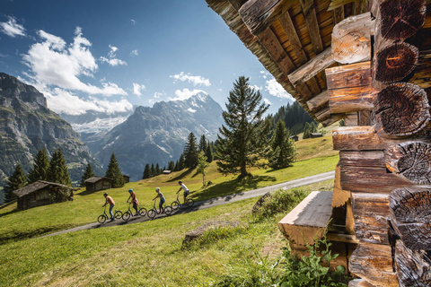 Privétour met gids naar Grindelwald eerst vanuit Zürich