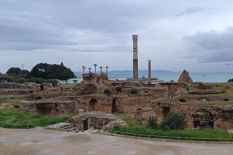 Tunis, Carthage & Bardo Museum: A Journey Through History From Mahdia