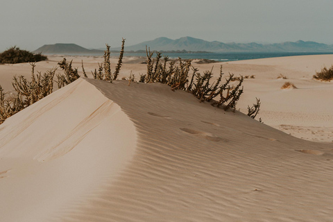 Fuerteventura Północna: dla rejsów z usługą fotograficzną z Puerto del Rosario