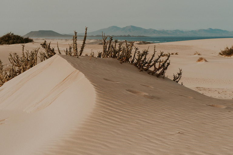 Fuerteventura Północna: dla rejsów z usługą fotograficzną z Puerto del Rosario