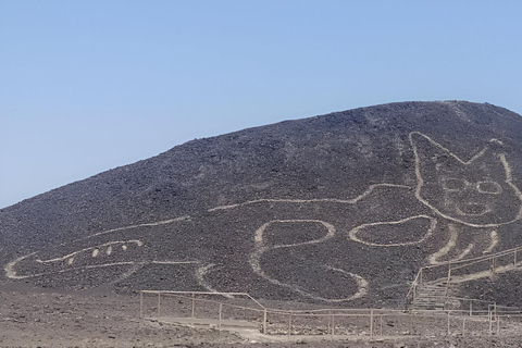 Nazca: Maria Reiche Museum och Nazca Lines Lookout Tour