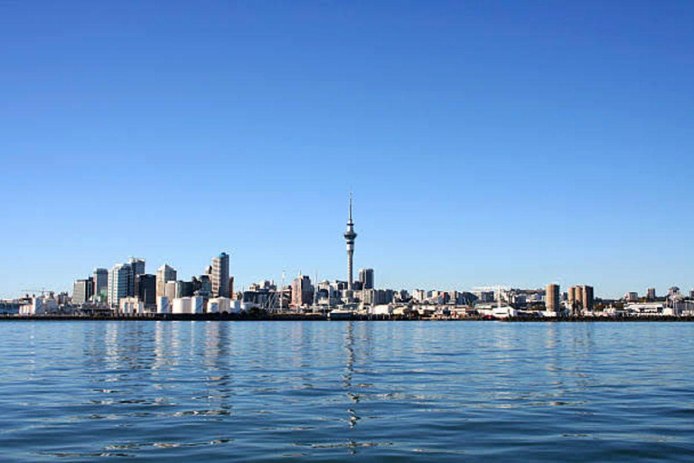 Auckland: Waitematā Harbour Cruise with Live Commentary