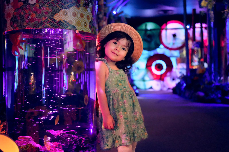 جولة شخصية في مدينة نارا مع مصور محلي