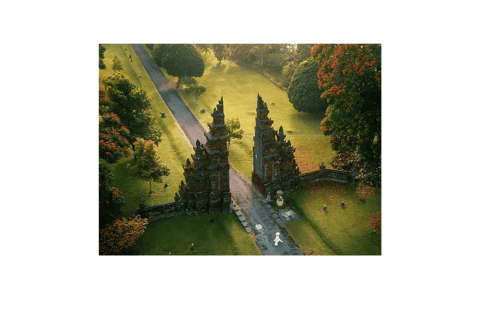 North Bali: Walking on the expanse of jati luwih rice fields