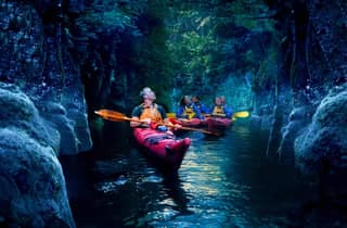 Tauranga: Abendliche Glühwürmchen-Kajaktour