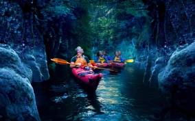 Tauranga: Evening Glowworm Kayak Tour