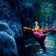 Tauranga: Evening Glowworm Kayak Tour