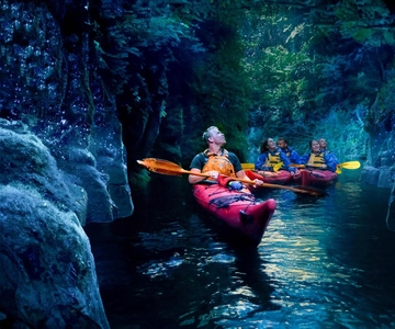 Tauranga: Evening Glowworm Kayak Tour