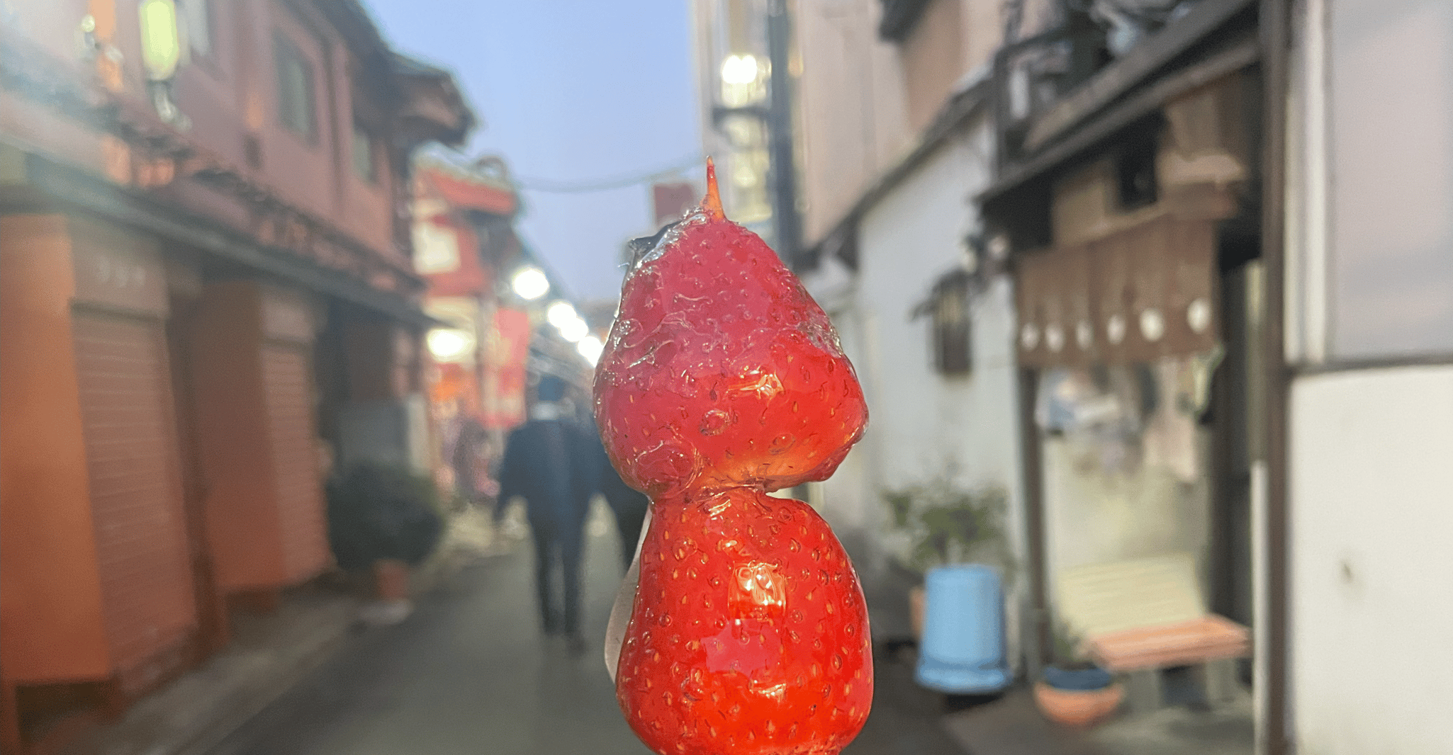 Asakusa Traditional Japanese sweets tour around Sensoji - Housity