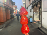 Asakusa Traditional Japanese sweets tour around Sensoji - Housity