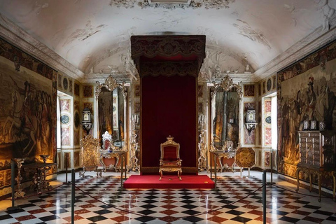 Gothenburg: Copenhagen Private Day Trip with Guide