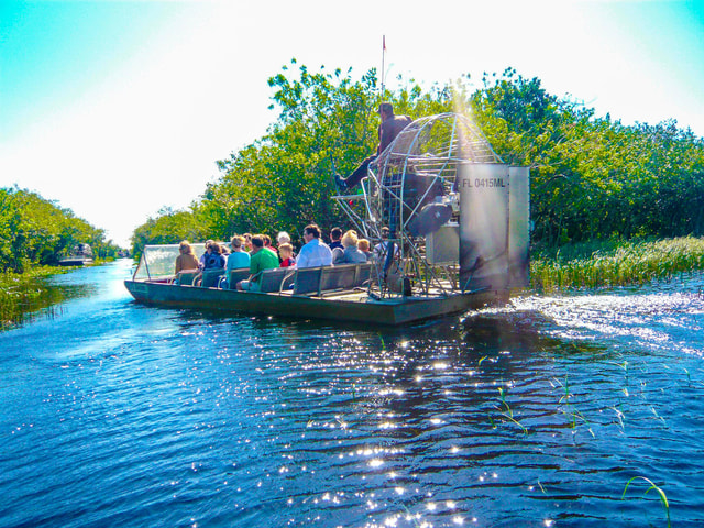 Everglades Airboat Tour from Miami w/ Park Entry & Transport