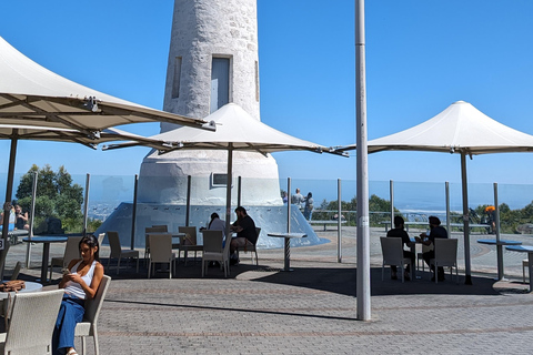 Adelaide: Hoogtepunten van de stad in een halve dag, Mt. Lofty en HahndorfAdelaide: hoogtepunten van een halve dag in de stad, Mt. Lofty en Hahndorf