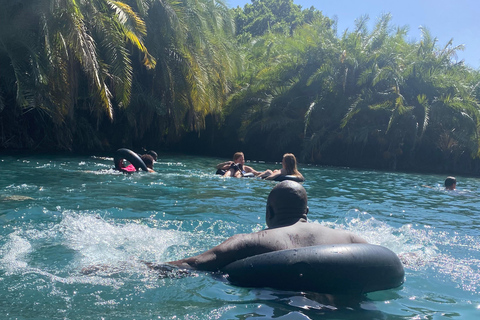 Arusha : excursion d'une journée aux sources chaudes de Kikuletwa avec transport