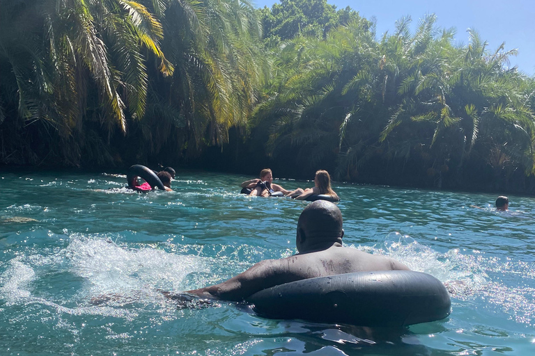Arusha : excursion d'une journée aux sources chaudes de Kikuletwa avec transport