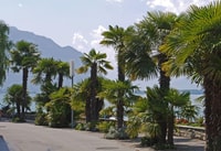 Tour privato a piedi di Montreux - Hizvo