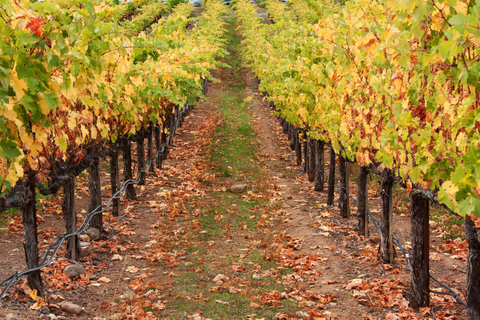 Napa Valley: Driver & Guide Service California wine country