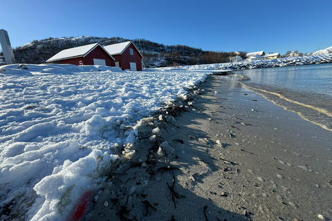 Fjord photo tour to Sommaroy with a 1-hour break