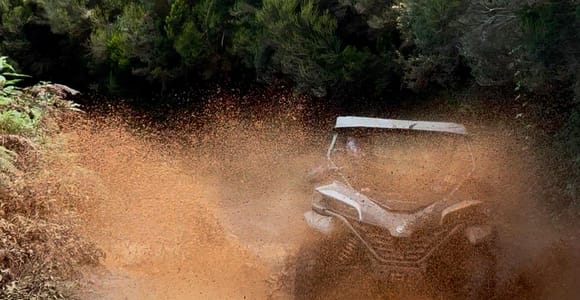 Madeira: Self-Drive Off-Road Buggy Tour Experience