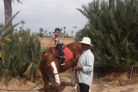 Marrakech: Majorel garden, camel ride in Palmerie, City trip