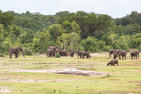 Murchison Falls Wildlife Safari 3 Days (Comfort Plus)