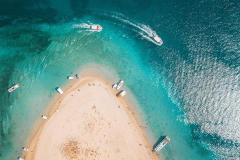 Explora el parque marino de Laganas en barco VIP