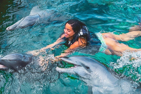 Journée complète dans les îles Rosario avec océanarium inclus