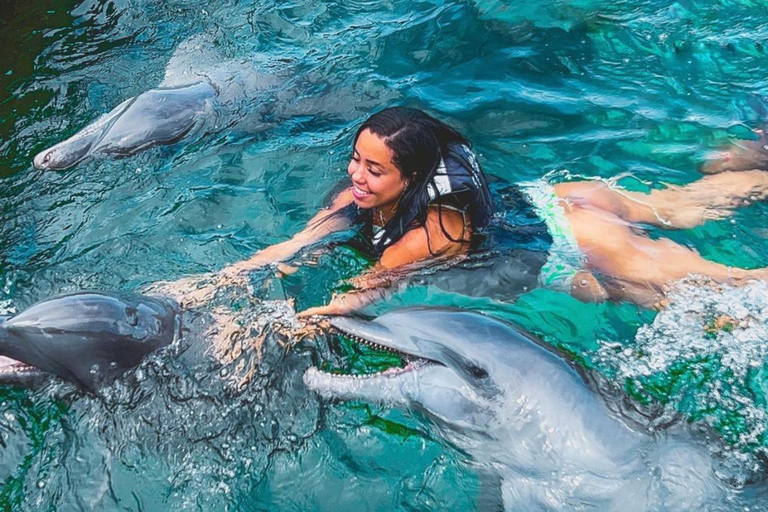 Journée complète dans les îles Rosario avec océanarium inclus