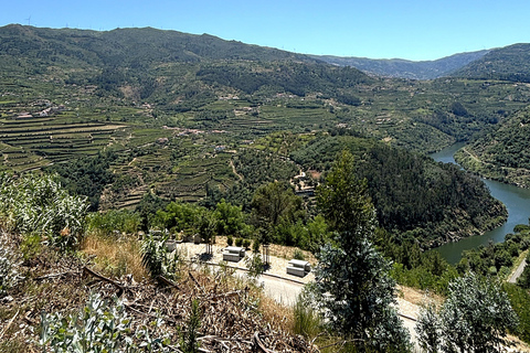 From Porto: Douro Valley Private Tour w/ 3 Wineries & Lunch Douro Valley Authentic Tour w/ 3 wineries & lunch in French