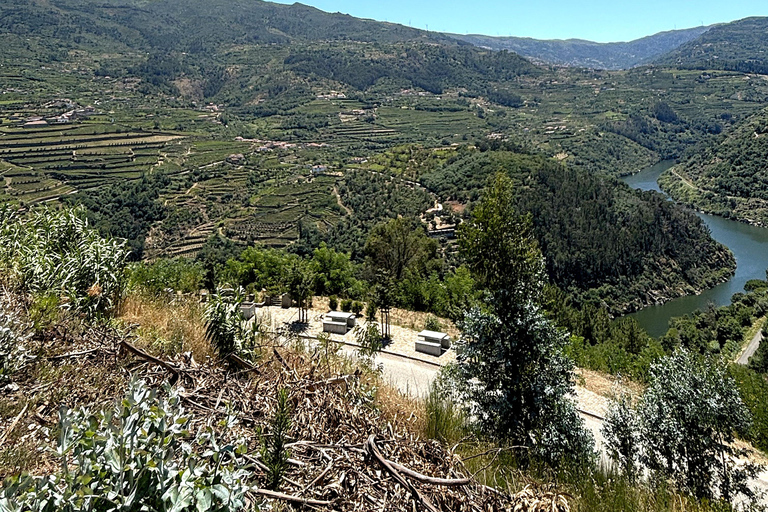 From Porto: Douro Valley Private Tour w/ 3 Wineries & Lunch Douro Valley Authentic Tour w/ 3 wineries & lunch in French