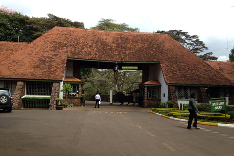 Nairobi: Passeio matinal no Parque Nacional de Nairobi