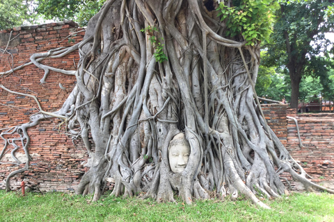 From Bangkok: Ayutthaya Temples & Gallery Boathouse Tour Ayuthaya Combi of Café, Temples & Gallery Boathouse Tour
