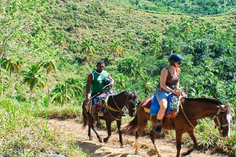 Punta Cana: Whale Watching, Cayo Levantado & Waterfall