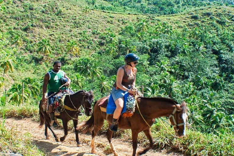 Punta Cana: Whale Watching, Cayo Levantado & Waterfall